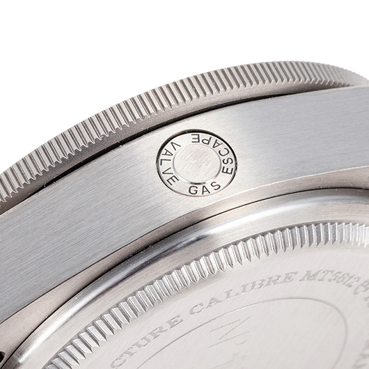 チューダー/チュードル ペラゴス レフトハンド ドライブ 25610TNL-0001 ブラック 新品 サブカット 3枚目