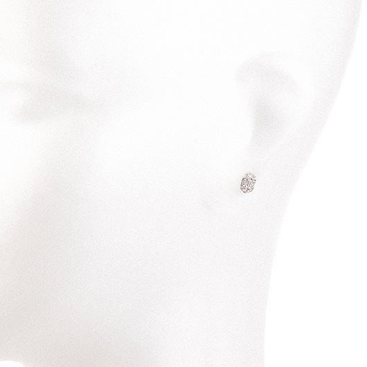 ノーブランド ダイヤモンド ピアス 4714860 プラチナ/シルバー 新品 サブカット 1枚目