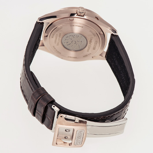 シチズン ザ シチズン アイコニック ネイチャー コレクション AQ4106-00W ブラウン 新品 サブカット 2枚目