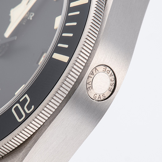 チューダー/チュードル ペラゴス レフトハンド ドライブ 25610TNL-0001 ブラック 中古 サブカット 3枚目