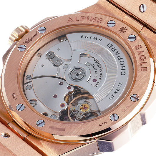 ショパール アルパイン イーグル ラージ 295363-5002 グレー 未使用品 サブカット 3枚目