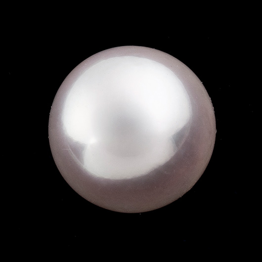 ノーブランド アコヤ真珠 スタッド ピアス 4735980 プラチナ/ホワイト 新品 サブカット 5枚目