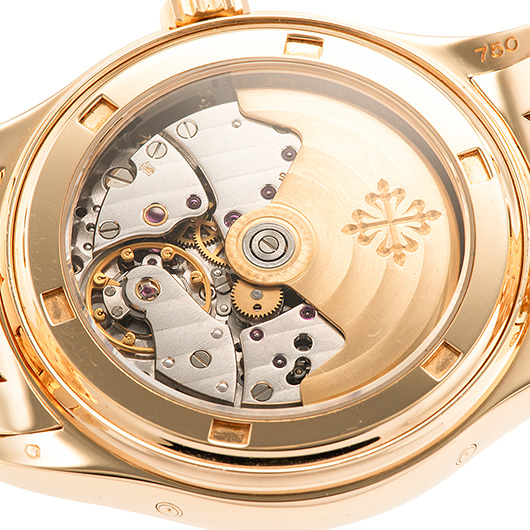 パテックフィリップ 年次カレンダー 5036/1J シルバー 中古 サブカット 4枚目