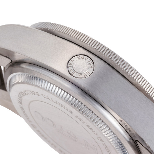 チューダー/チュードル ペラゴス レフトハンド ドライブ 25610TNL-0001 ブラック 中古 サブカット 3枚目