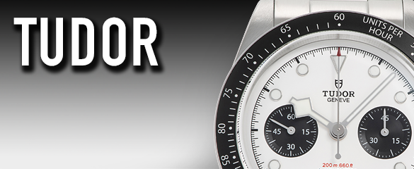 チューダー/チュードル (TUDOR)