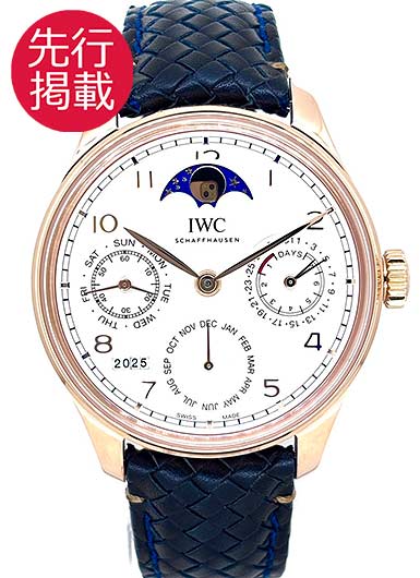 IWC ポルトギーゼ パーペチュアル カレンダー IW503302 シルバー 中古