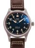 IWC �ޡ���XVIII �إ�ơ��� IW327006
